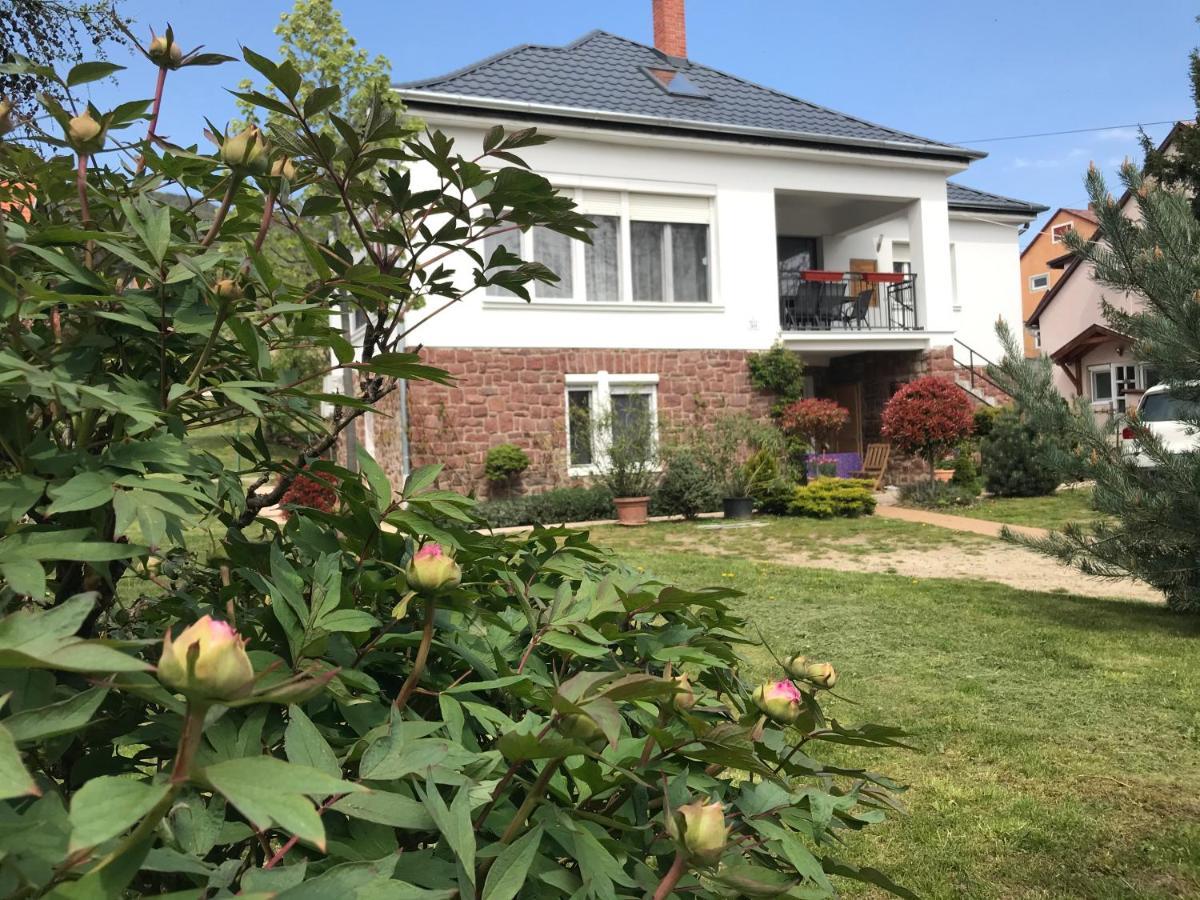 Levendula Apartmanház Badacsonytomaj Exterior foto